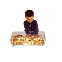 A3 LIGHT PANEL & EXPLORATION TRAY