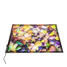 A2 LIGHT PANEL + AUTUMN LEAVES PLAY MAT