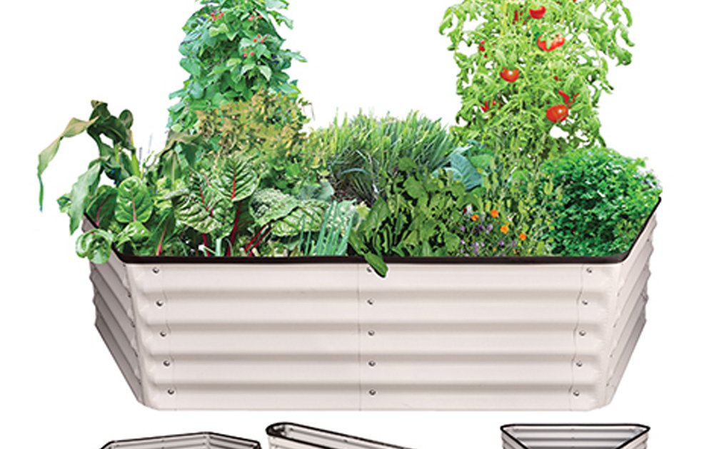 Got It This Website Uses Cookies To Ensure You Get The Best Experience On Our Website More Info Cookie Consent Plugin For The Eu Cookie Law Search Search Need Help About Us Contact Us Login Register Encoreeducational Co Uk Toggle Navigation 0