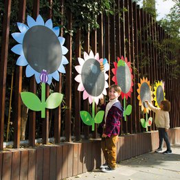 Sunflower Chalkbaords  Set of 5